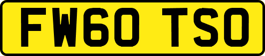 FW60TSO