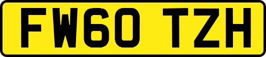 FW60TZH