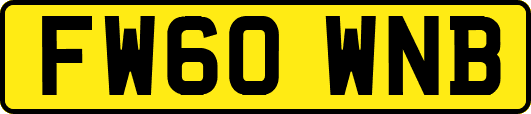 FW60WNB