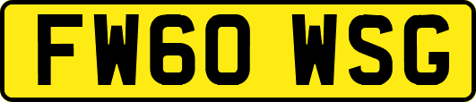 FW60WSG