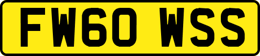 FW60WSS