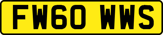 FW60WWS