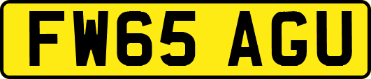 FW65AGU
