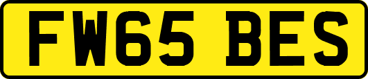 FW65BES