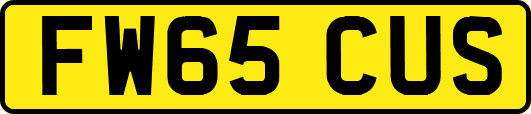 FW65CUS