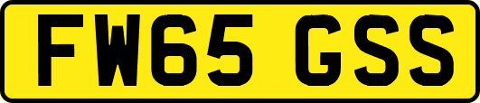 FW65GSS