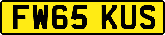 FW65KUS