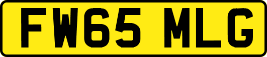FW65MLG