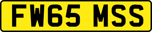 FW65MSS