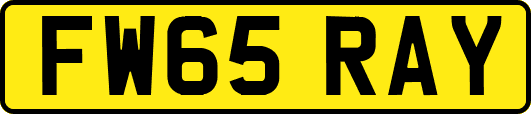 FW65RAY