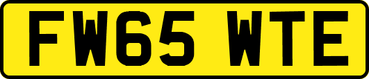 FW65WTE