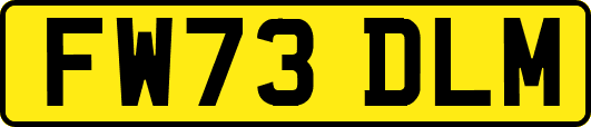 FW73DLM