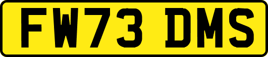 FW73DMS