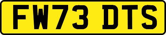 FW73DTS