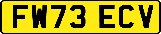 FW73ECV