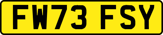 FW73FSY