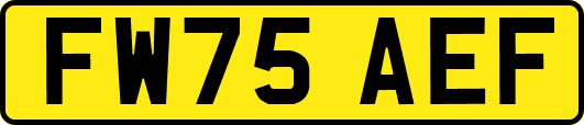 FW75AEF