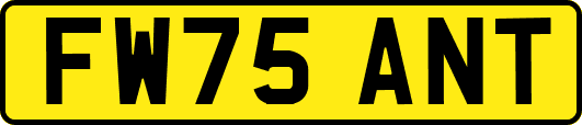 FW75ANT