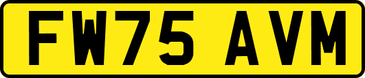 FW75AVM