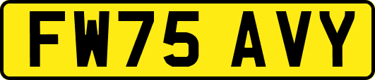 FW75AVY