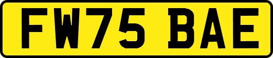 FW75BAE