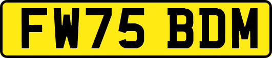 FW75BDM