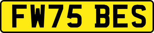 FW75BES