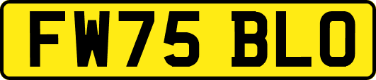 FW75BLO