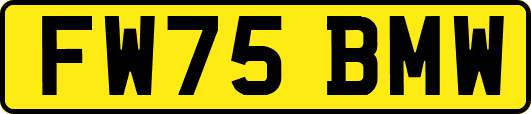FW75BMW