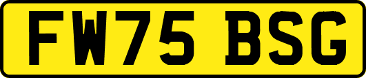 FW75BSG