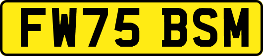 FW75BSM