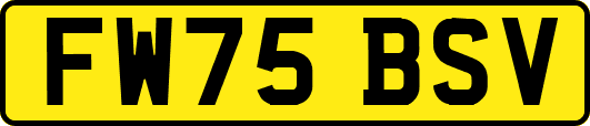 FW75BSV