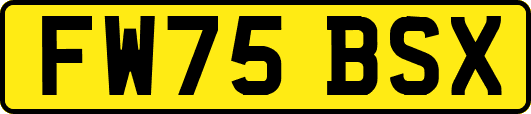 FW75BSX