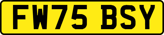 FW75BSY
