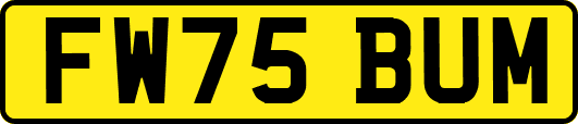 FW75BUM