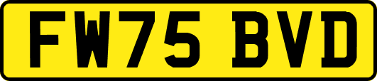 FW75BVD