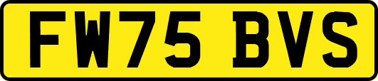 FW75BVS