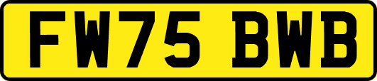 FW75BWB