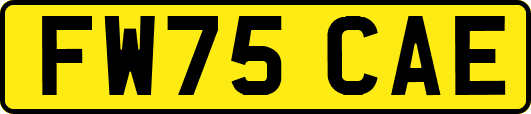 FW75CAE