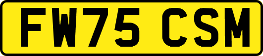 FW75CSM