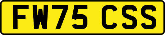 FW75CSS