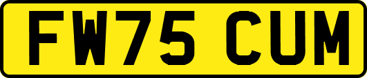 FW75CUM