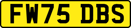 FW75DBS