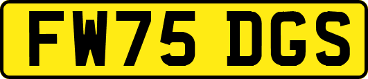 FW75DGS