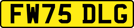FW75DLG