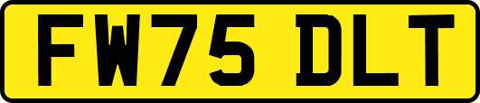 FW75DLT