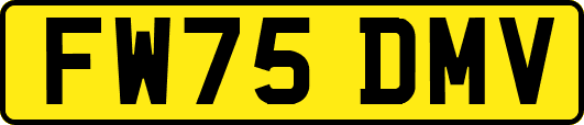 FW75DMV