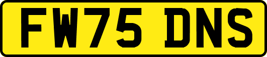 FW75DNS