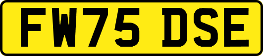 FW75DSE