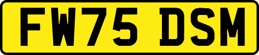 FW75DSM